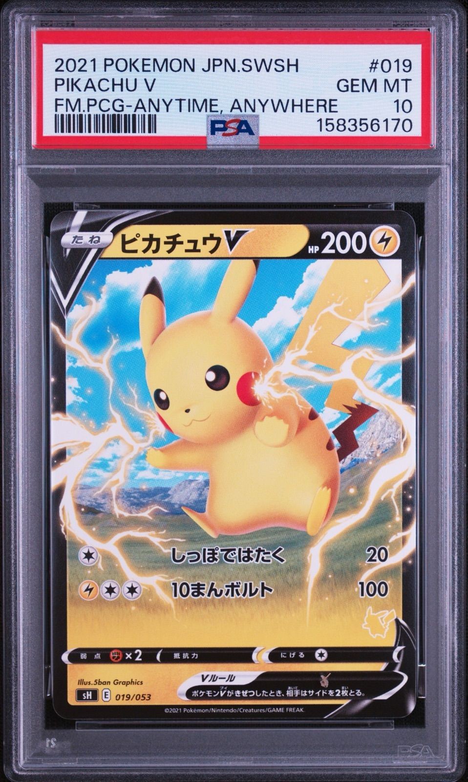 2021 Pokemon Japanese Sword & Shield Family Pokemon Card Game Pikachu V Anytime, Anywhere 019