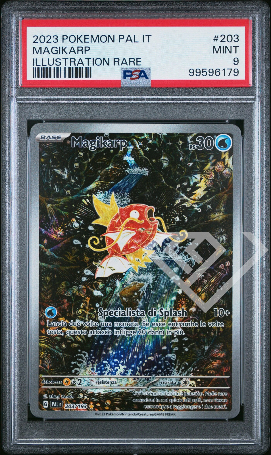 2023 Pokemon Italian Pal It-Paldea Evolved Magikarp Illustration Rare 203