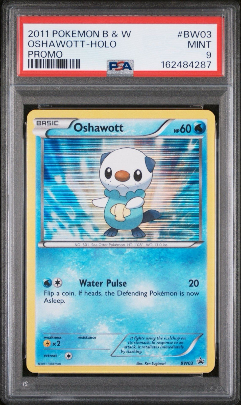 2011 Pokemon Black & White Promo Oshawott-Holo BW03