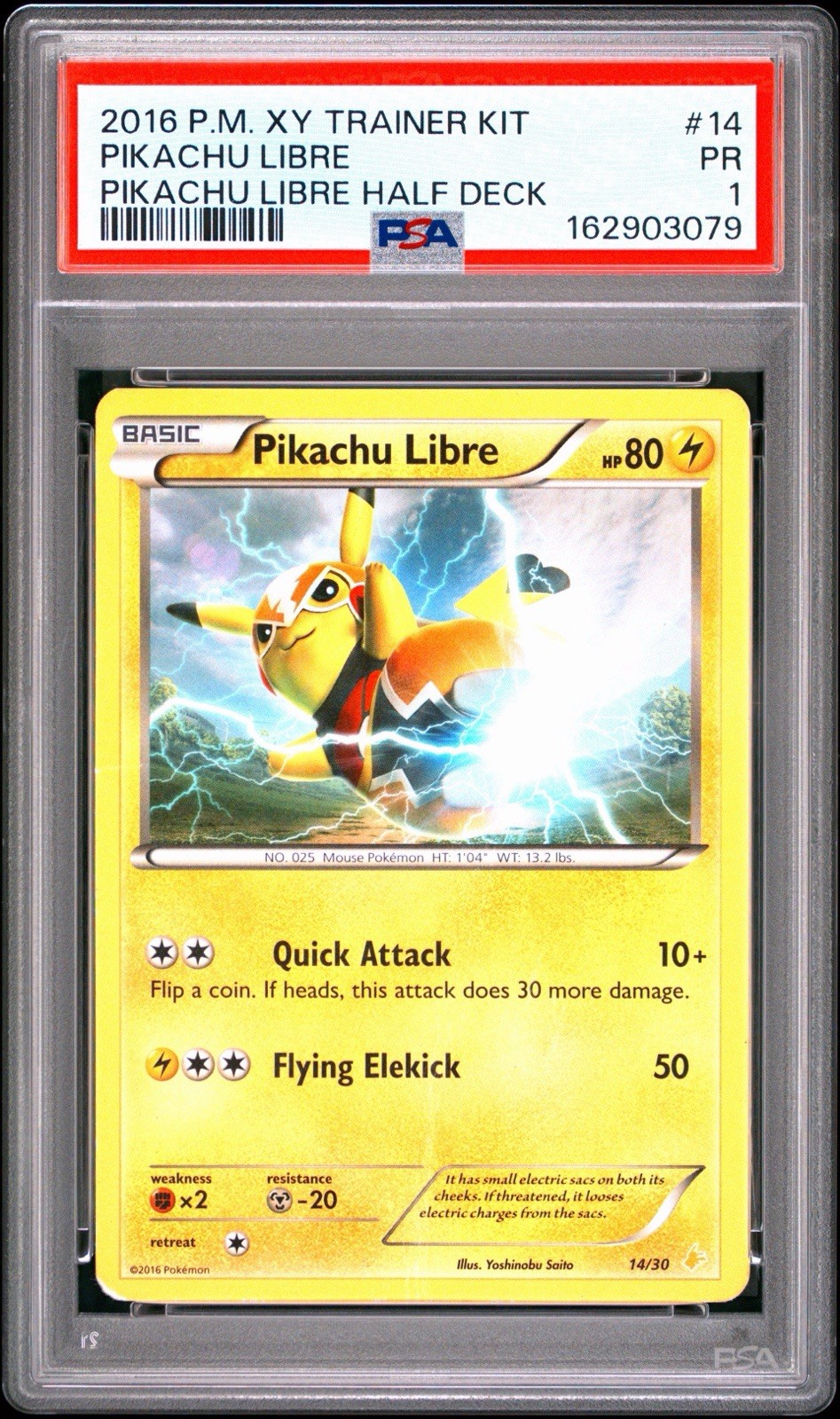 2016 Pokemon XY Trainer Kit Pikachu Libre Half Deck Pikachu Libre 14