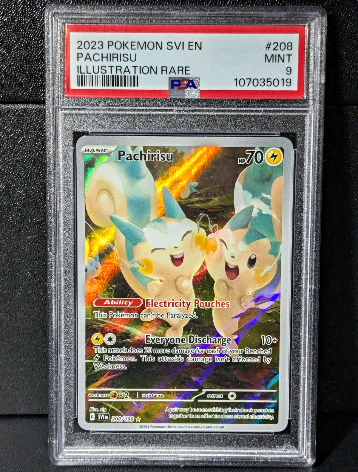 2023 Pokemon Svi EN-Scarlet & Violet Pachirisu Illustration Rare 208