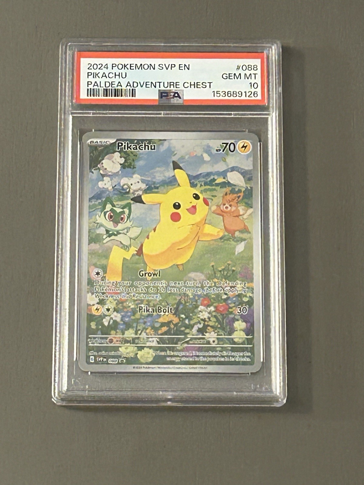 2024 Pokemon Svp EN-SV Black Star Promo Pikachu Paldea Adventure Chest 088