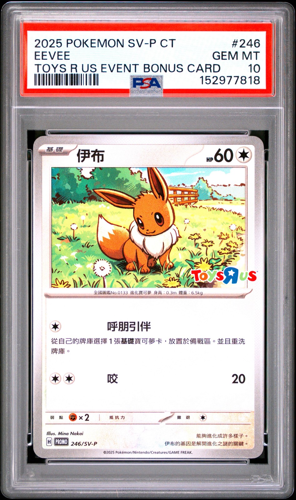 2025 Pokemon Traditional Chinese SV-P Promo Eevee Toys R US Event Bonus Card 246