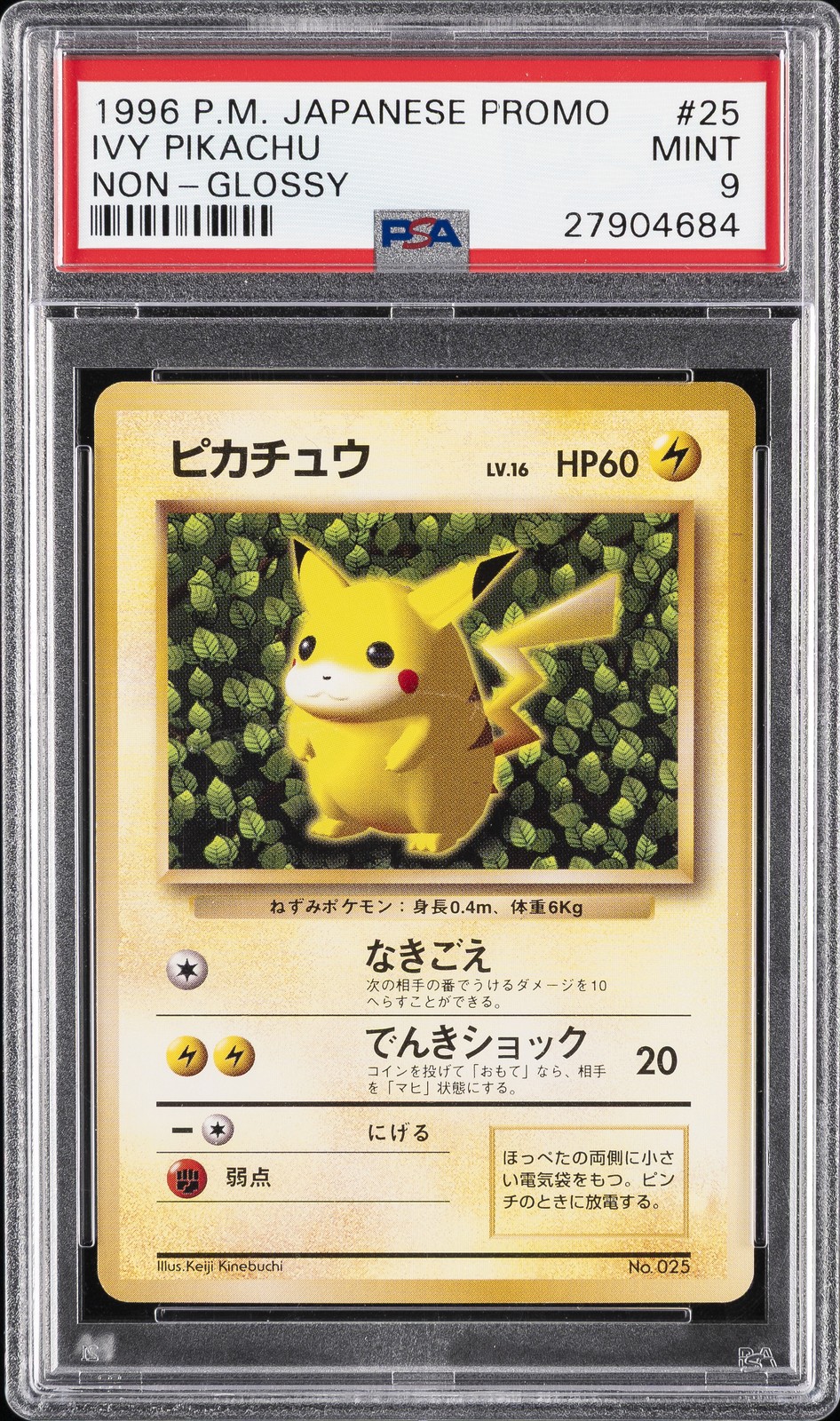 1996 Pokemon Japanese Promo Pikachu Easily Understand How to Play Pokemon Cards 025