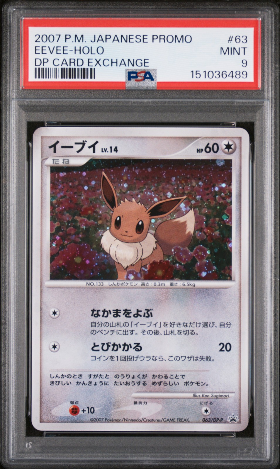 2007 Pokemon Japanese Promo Eevee-Holo DP Card Exchange 63