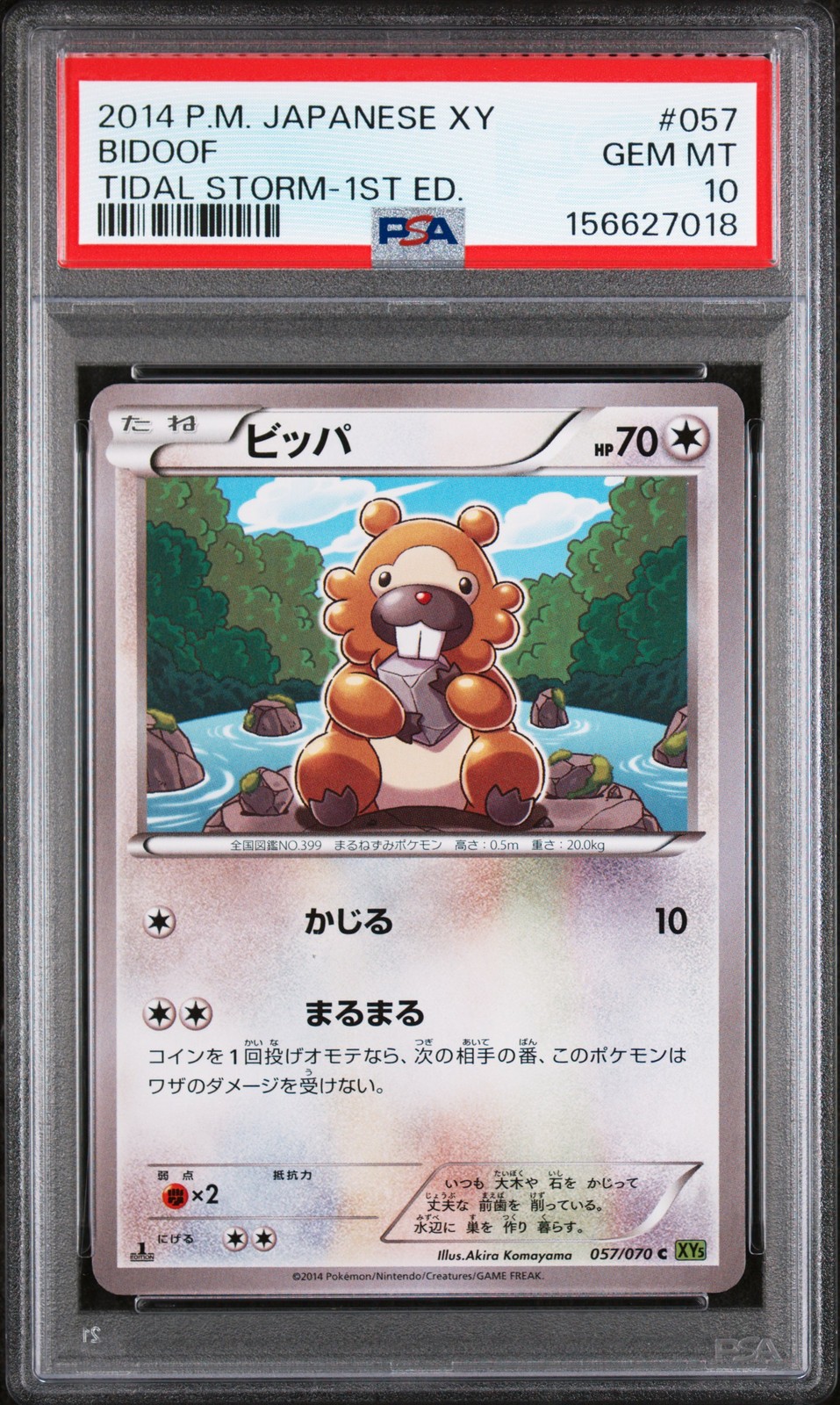 2014 Pokemon Japanese XY Tidal Storm Bidoof 1st Edition 057