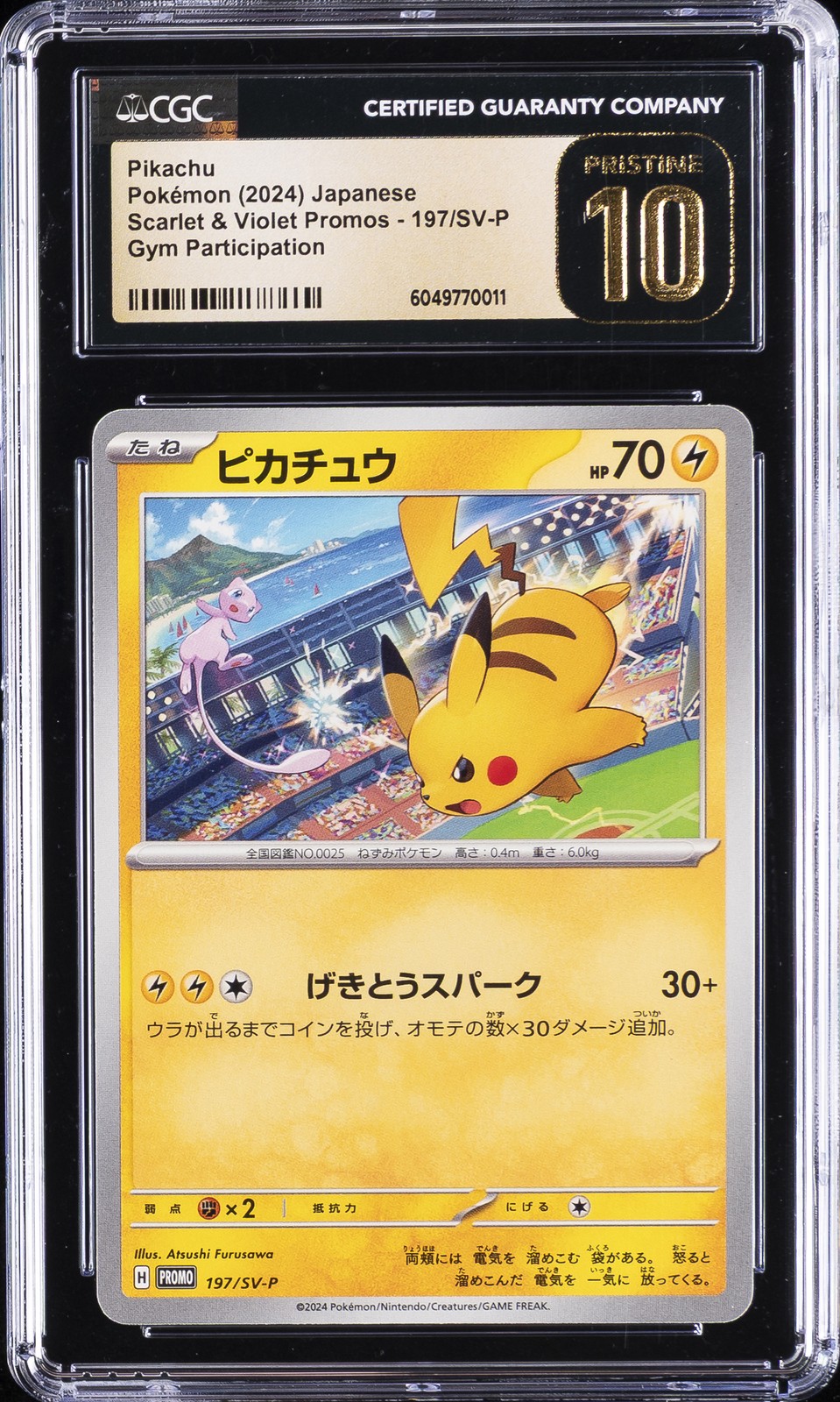2024 Scarlet & Violet Promos - Japanese Pikachu Gym Participation 197/SV-P