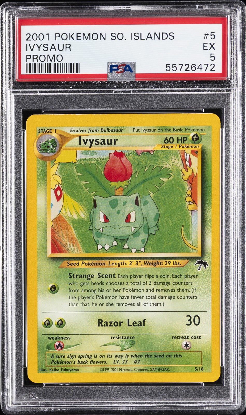 2001 Pokemon Southern Islands Promo Ivysaur 5