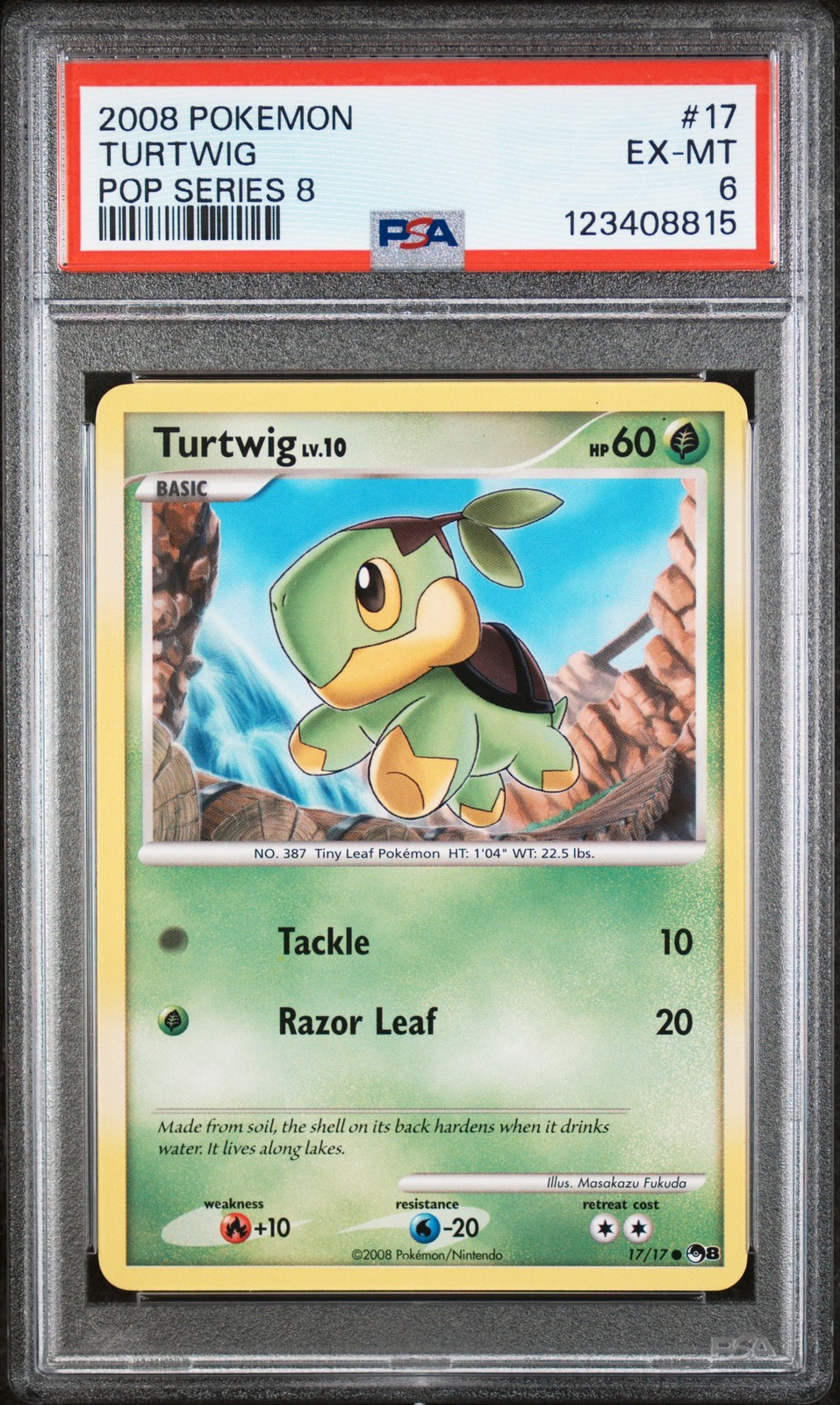 2008-09 Pokemon Pop Series 8 Turtwig 17