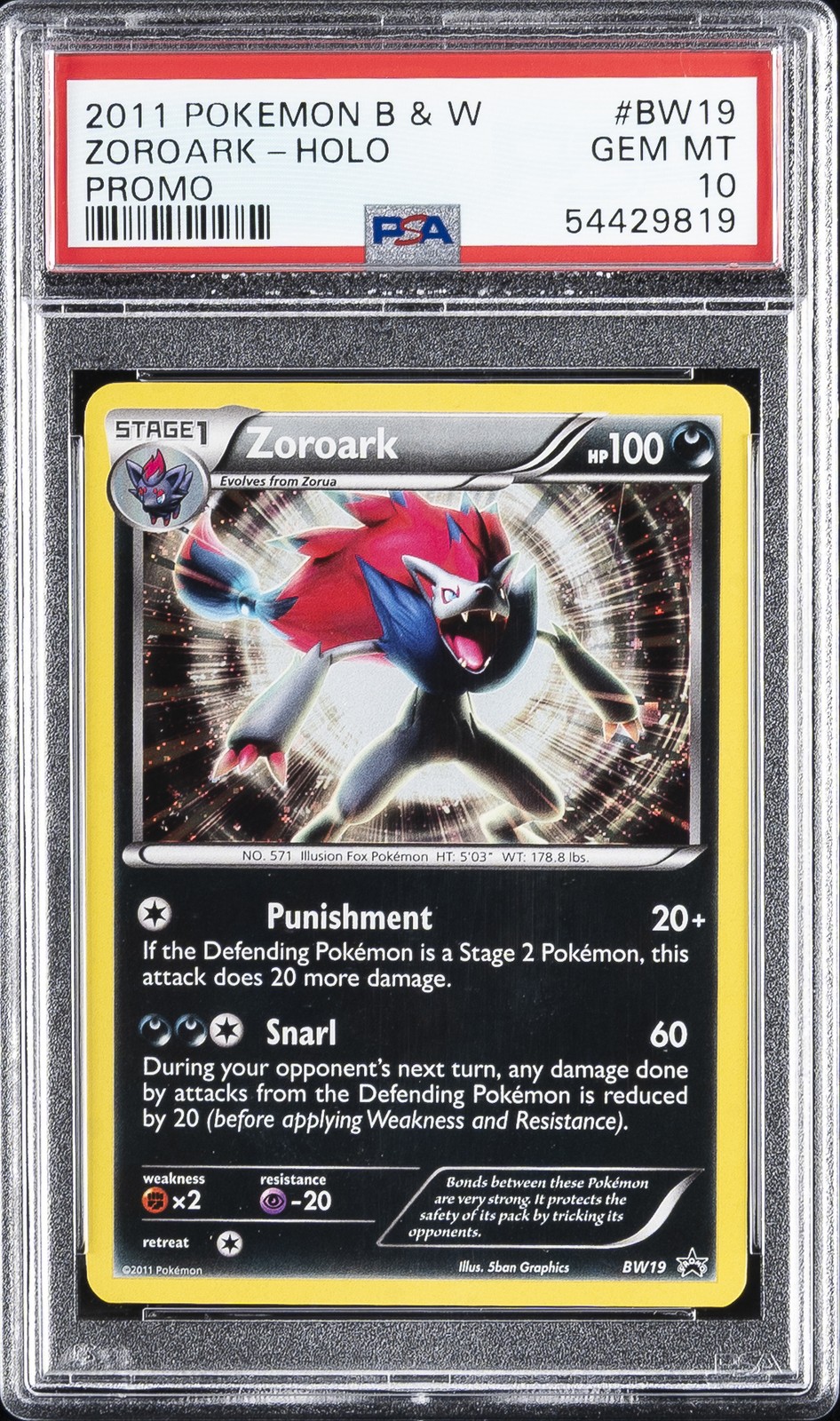 2011 Pokemon Black & White Promo Zoroark-Holo BW19