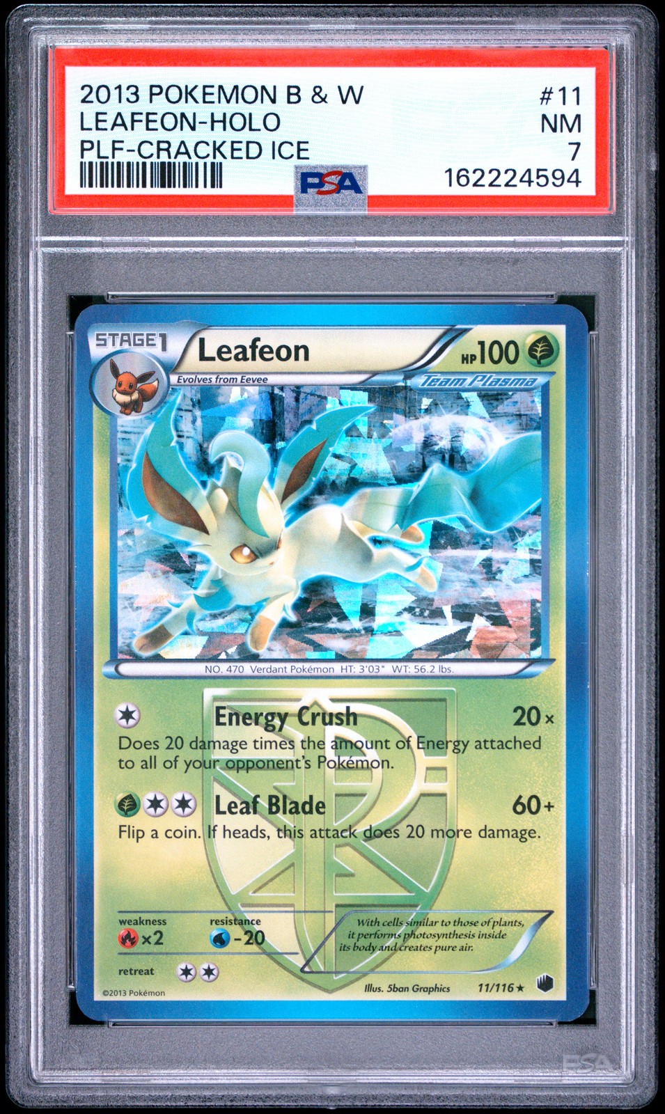 2013 Pokemon Black & White Plasma Freeze Leafeon-Holo Cracked Ice 11