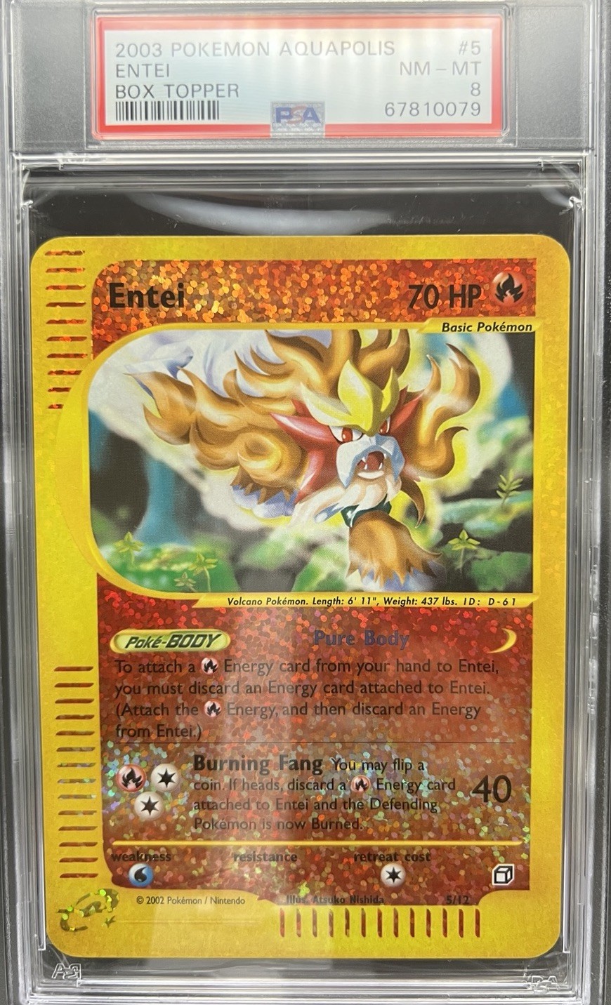 2003 Pokemon Aquapolis Box Topper Entei 5