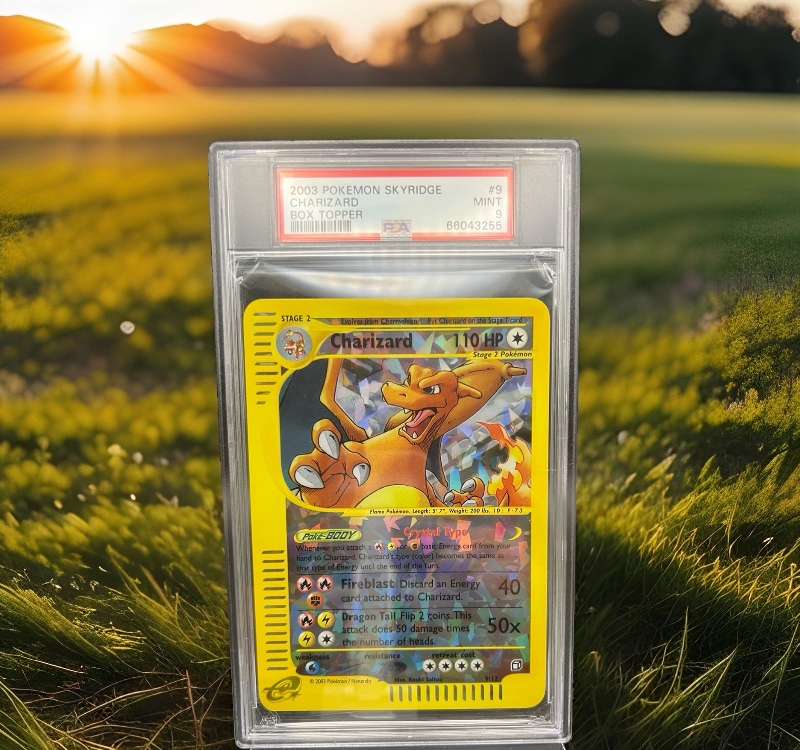 2003 Pokemon Skyridge Box Topper Charizard 9