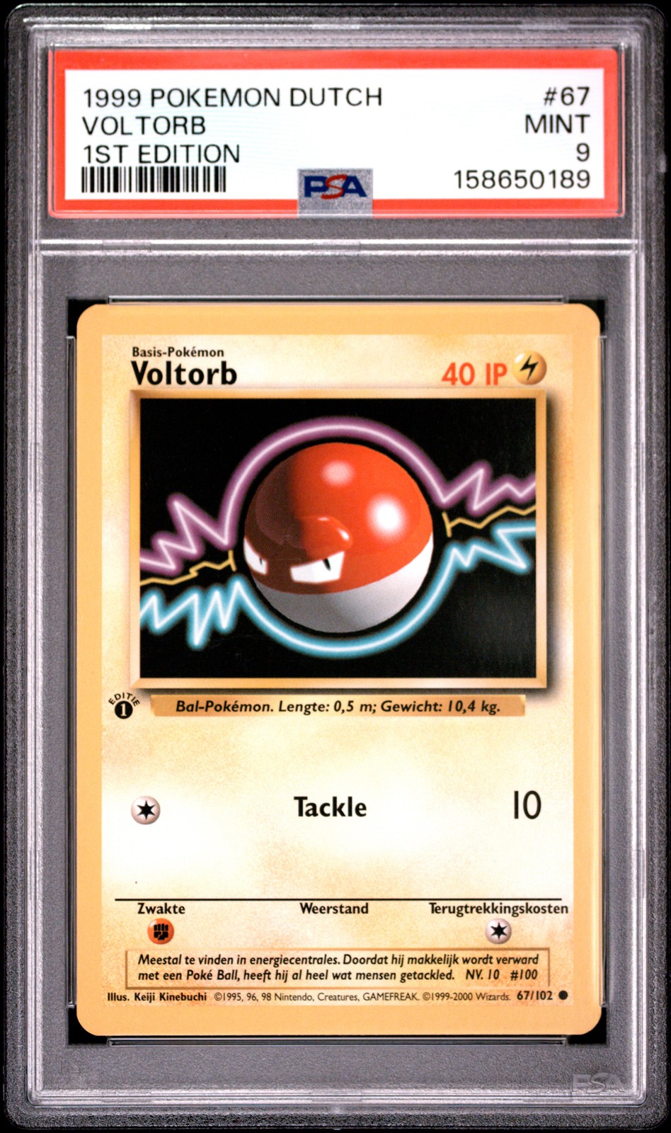1999 Pokemon Dutch Voltorb 1st Edition 67