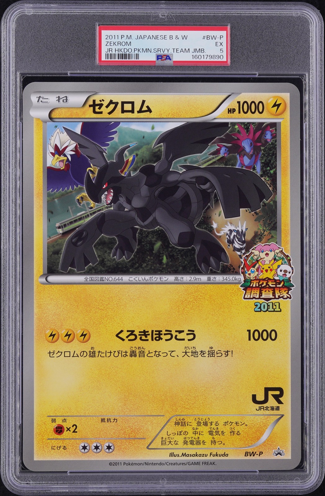 2011 Pokemon Japanese Black & White Promo Zekrom Jr Hokkaido Pokemon Survey Team Jumbo BW-P