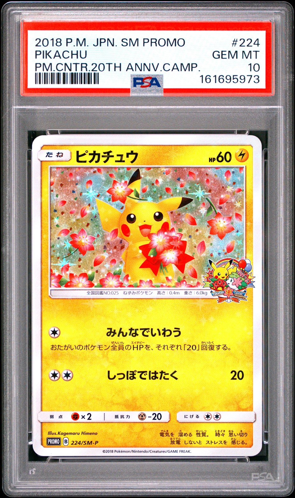 2018 Pokemon Japanese SM Promo Pikachu Pokemon Center 20th Anniversary Campaign 224