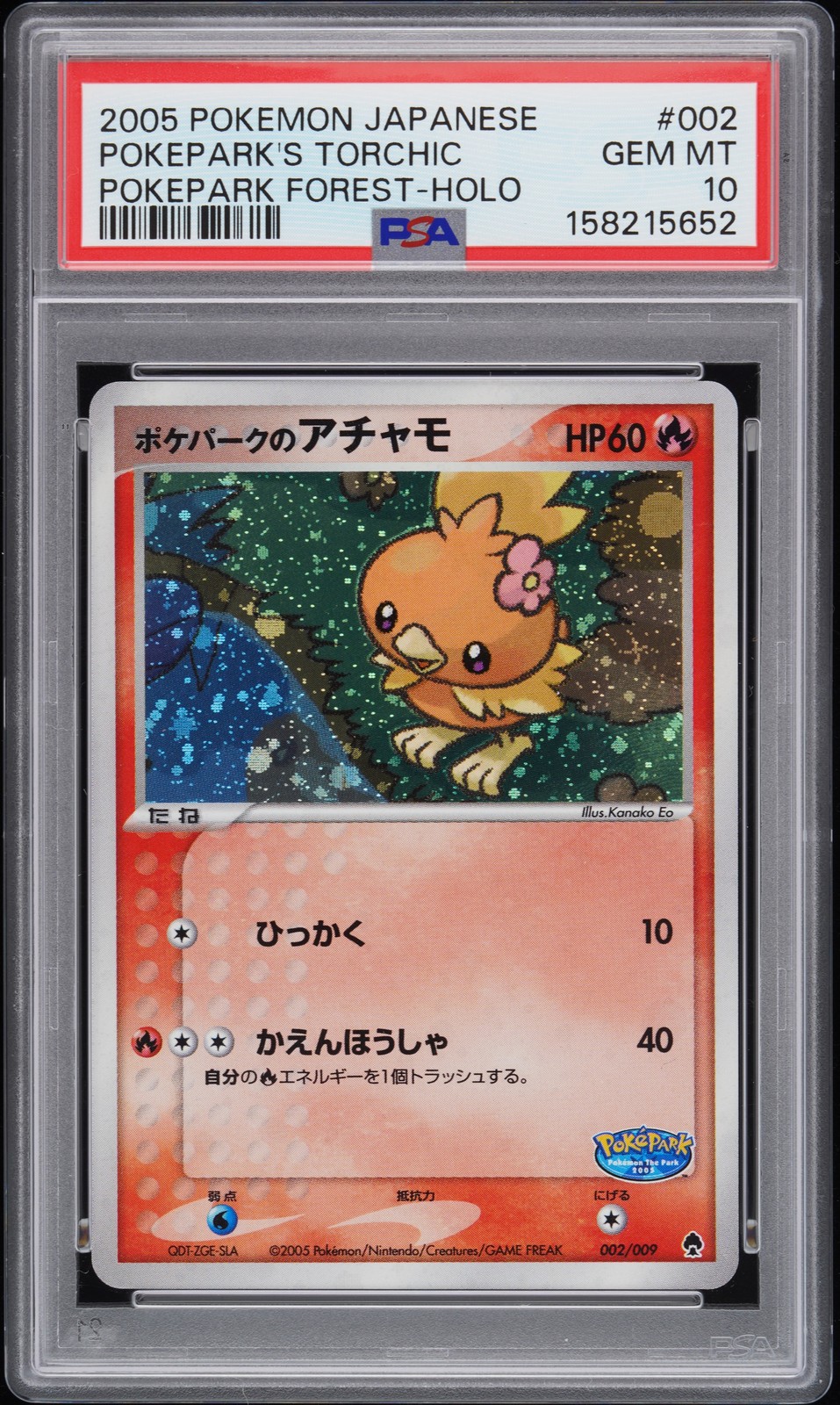 2005 Pokemon Japanese Pokepark Forest Pokepark's Torchic-Holo 002
