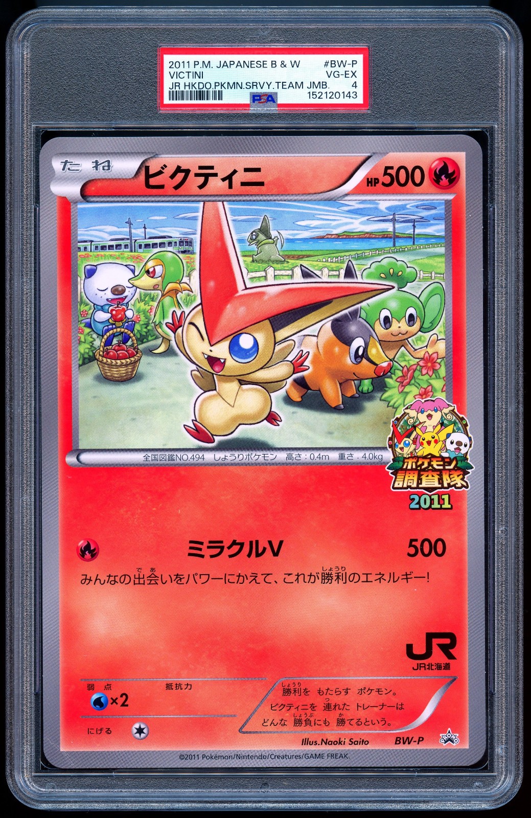 2011 Pokemon Japanese Black & White Promo Victini Jr Hokkaido Pokemon Survey Team Jumbo BW-P