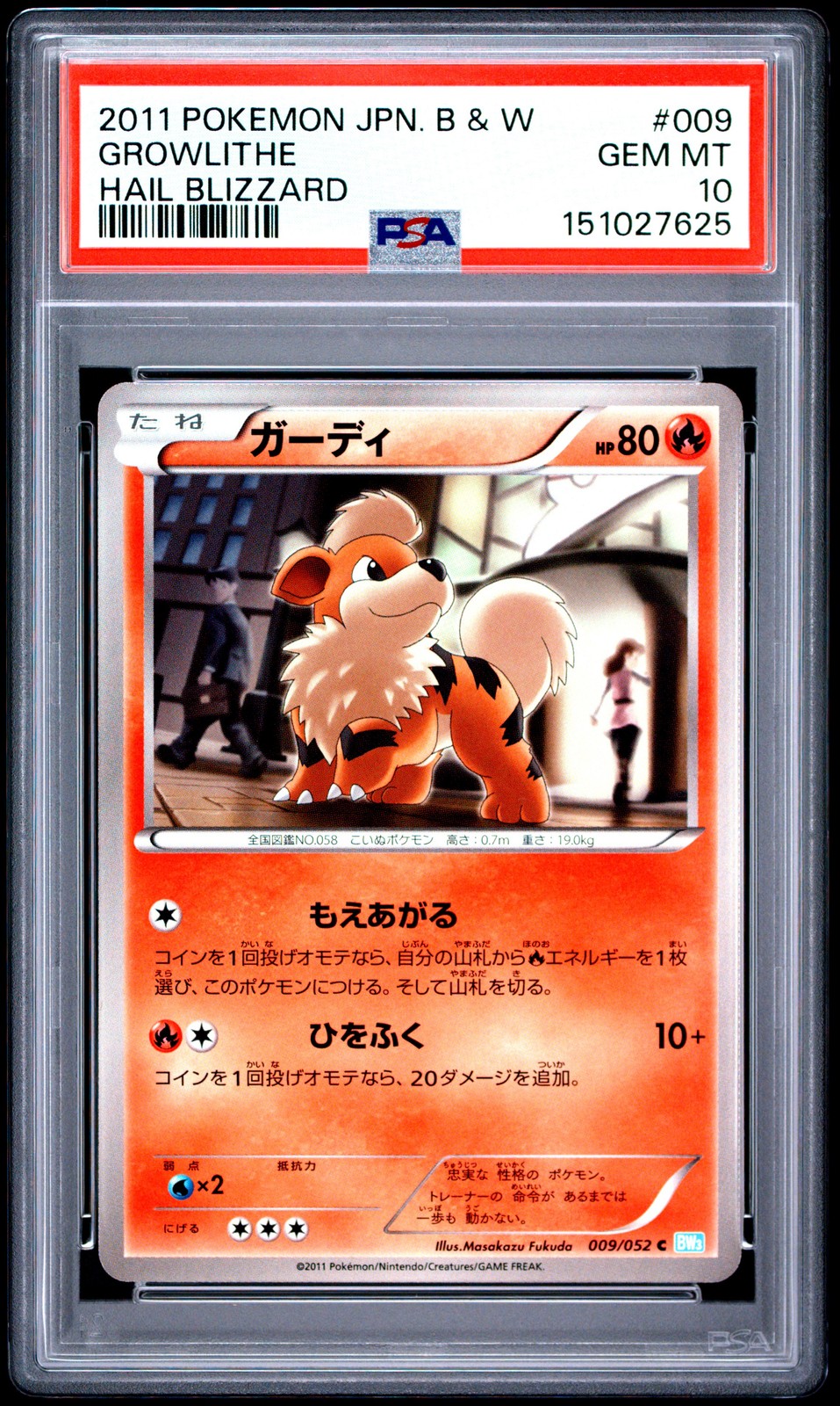 2011 Pokemon Japanese Black & White Hail Blizzard Growlithe 009