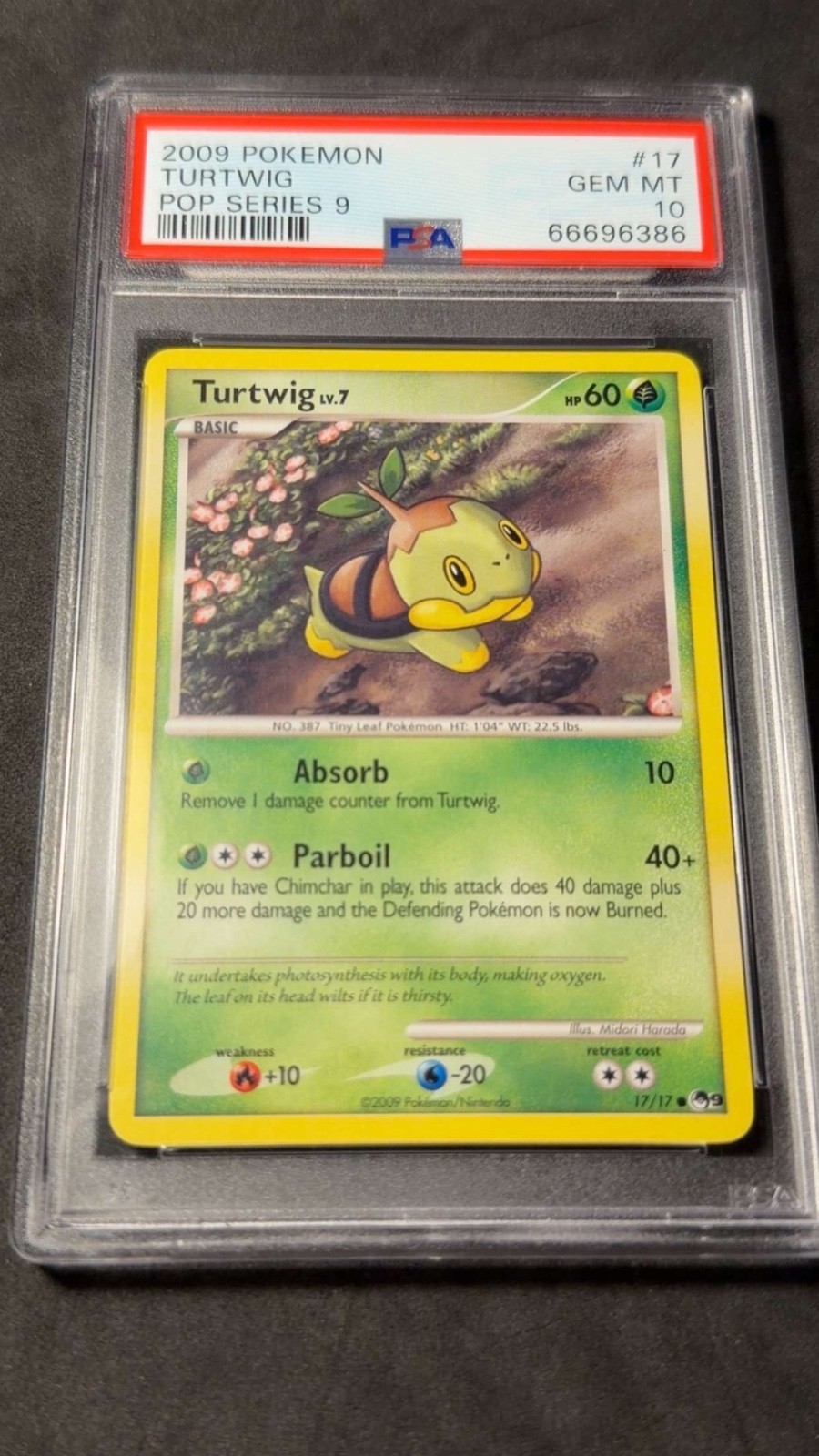 2009 Pokemon Pop Series 9 Turtwig 17