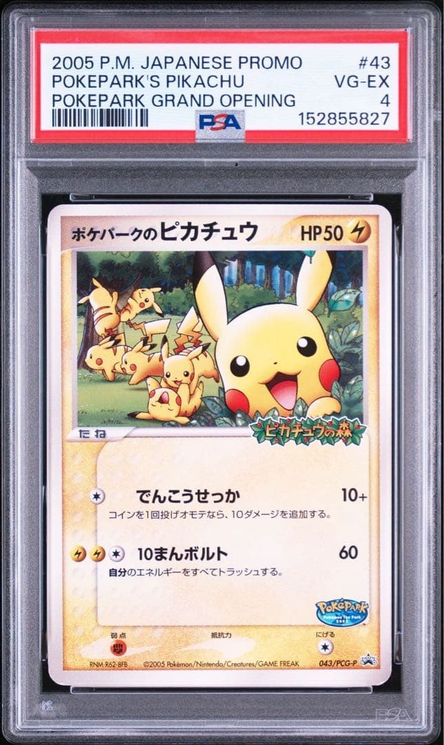 2005 Pokemon Japanese Promo Pokepark's Pikachu Pokepark Grand Opening 43