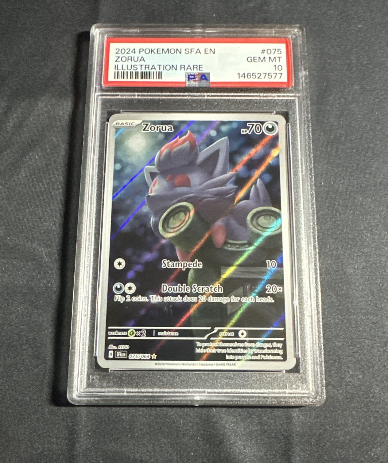 2024 Pokemon Sfa EN-Shrouded Fable Zorua Illustration Rare 075