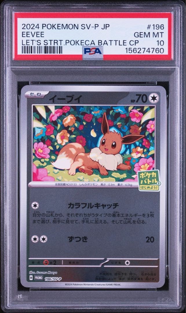 2024 Pokemon Japanese SV-P Promo Eevee Let's Start Pokeca Battle Campaign 196