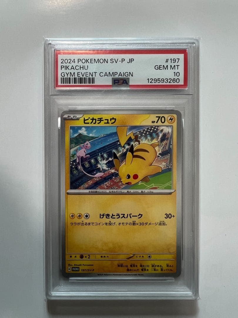 2024 Pokemon Japanese SV-P Promo Pikachu Gym Event Campaign 197