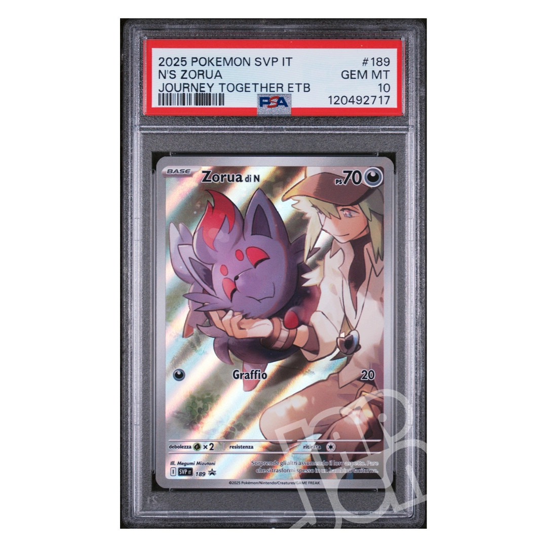 2025 Pokemon Italian Svp It-SV Black Star Promo N's Zorua Journey Together Elite Trainer Box 189