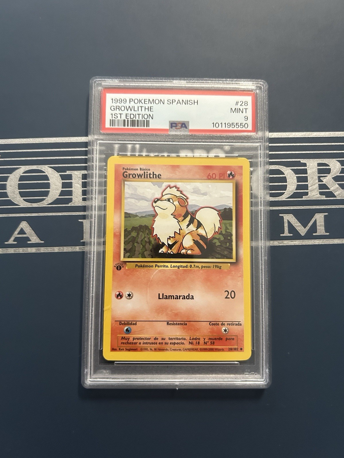 1999 Pokemon Spanish Growlithe 1st Edition 28
