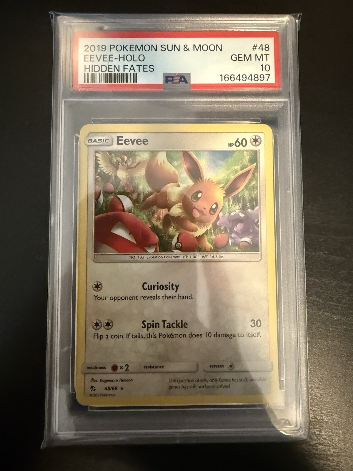 2019 Pokemon Sun & Moon Hidden Fates Eevee-Holo 48