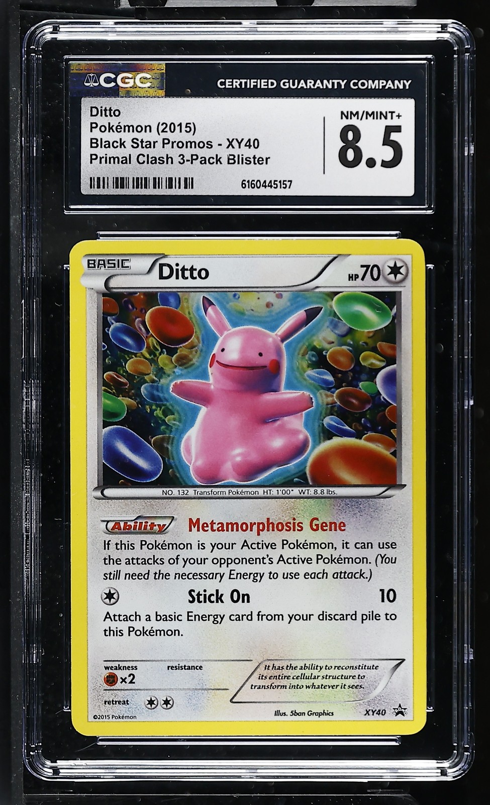 2015 Black Star Promos - XY - English Ditto Primal Clash 3-Pack Blister (Cosmos Holo) XY40