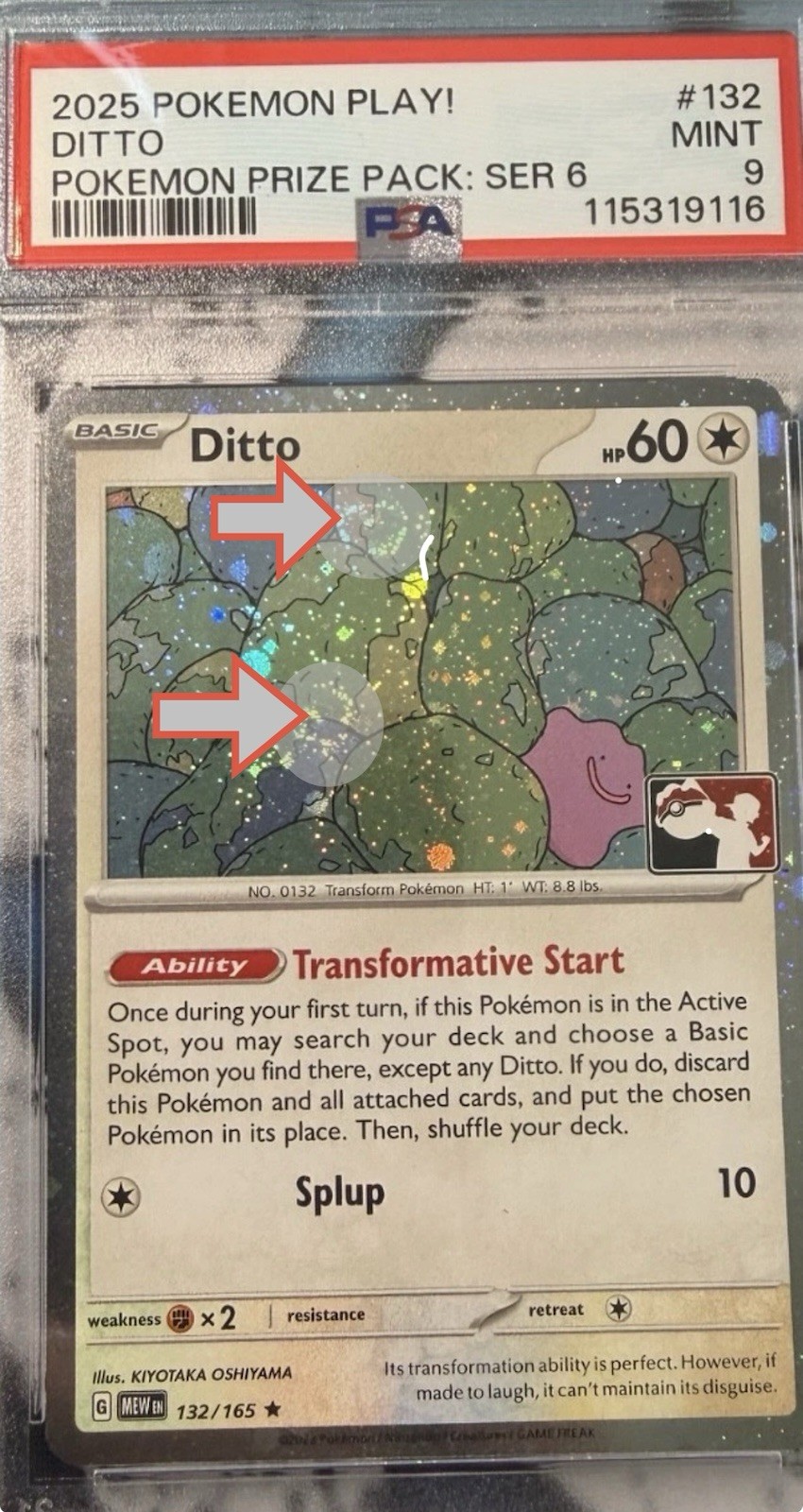 2025 Pokemon Play! Pokemon Prize Pack: Series 6 Ditto 132