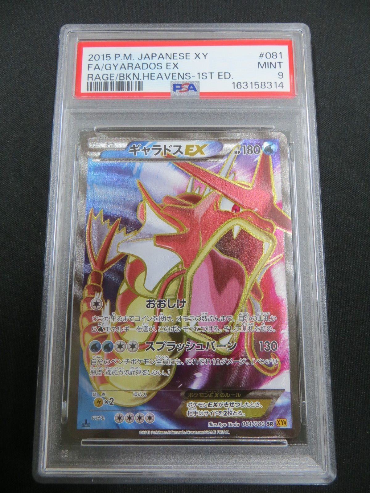 2015 Pokemon Japanese XY Rage of the Broken Heavens Full Art/Gyarados EX 1st Edition 081