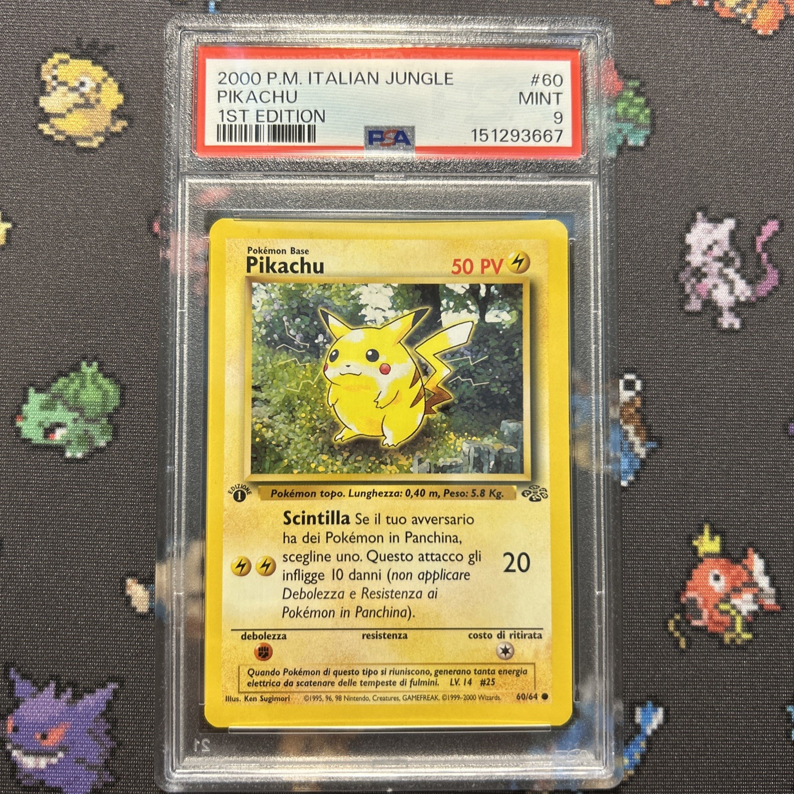 2000 Pokemon Italian Jungle Pikachu 1st Edition 60