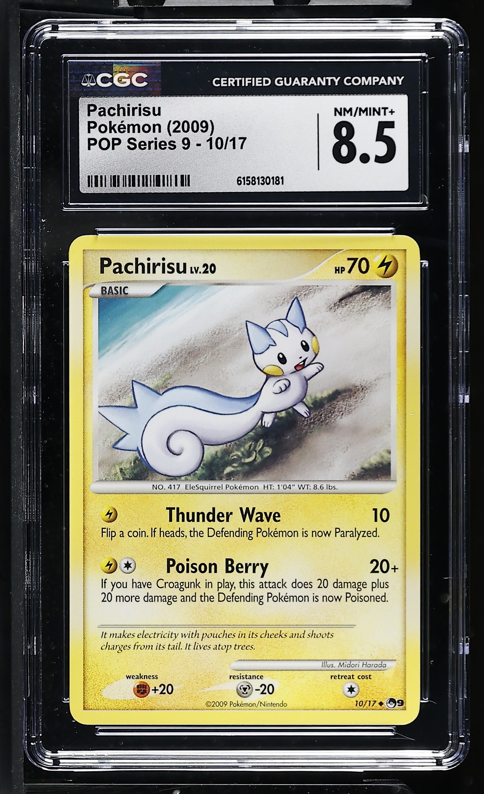 2009 POP Series 9 - English Pachirisu  10/17