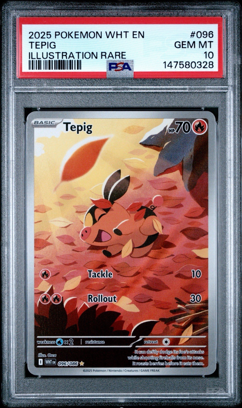2025 Pokemon Wht EN-White Flare Tepig Illustration Rare 096