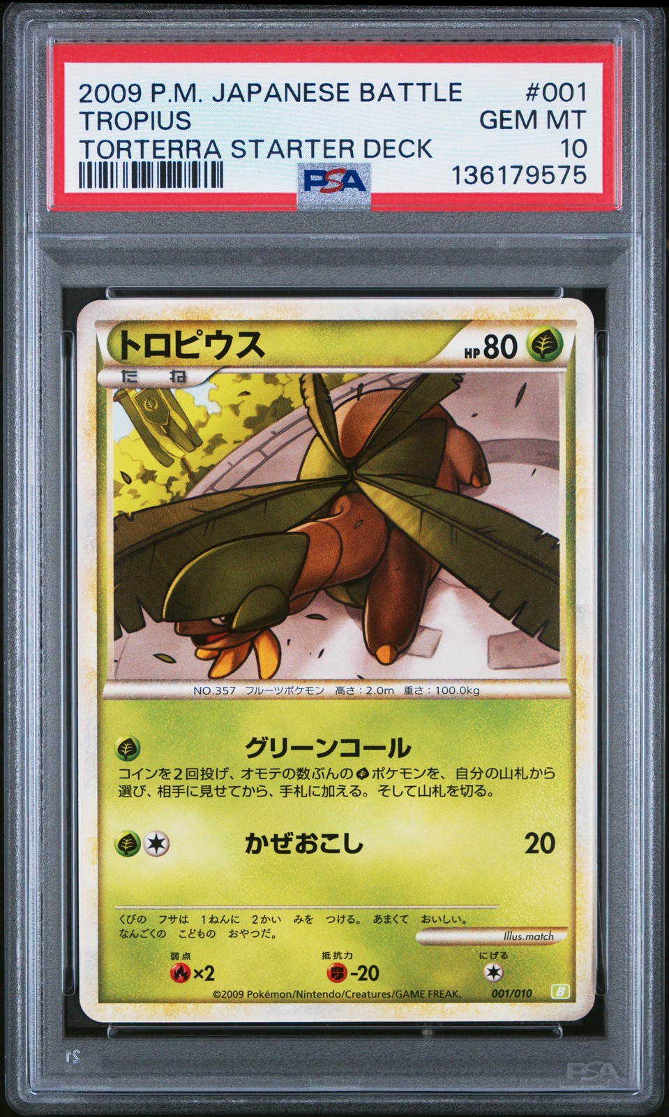 2009 Pokemon Japanese Battle Starter Decks Tropius Torterra Starter Deck 001