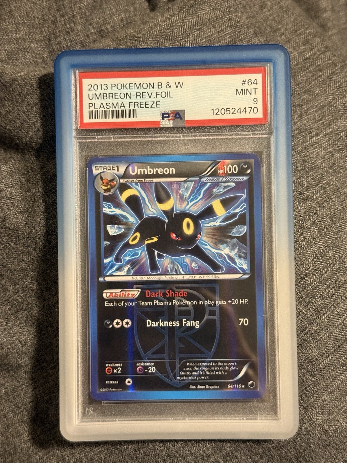 2013 Pokemon Black & White Plasma Freeze Umbreon-Reverse Foil 64