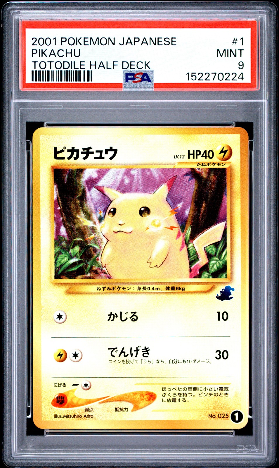 2001 Pokemon Japanese Totodile Half Deck Pikachu 1