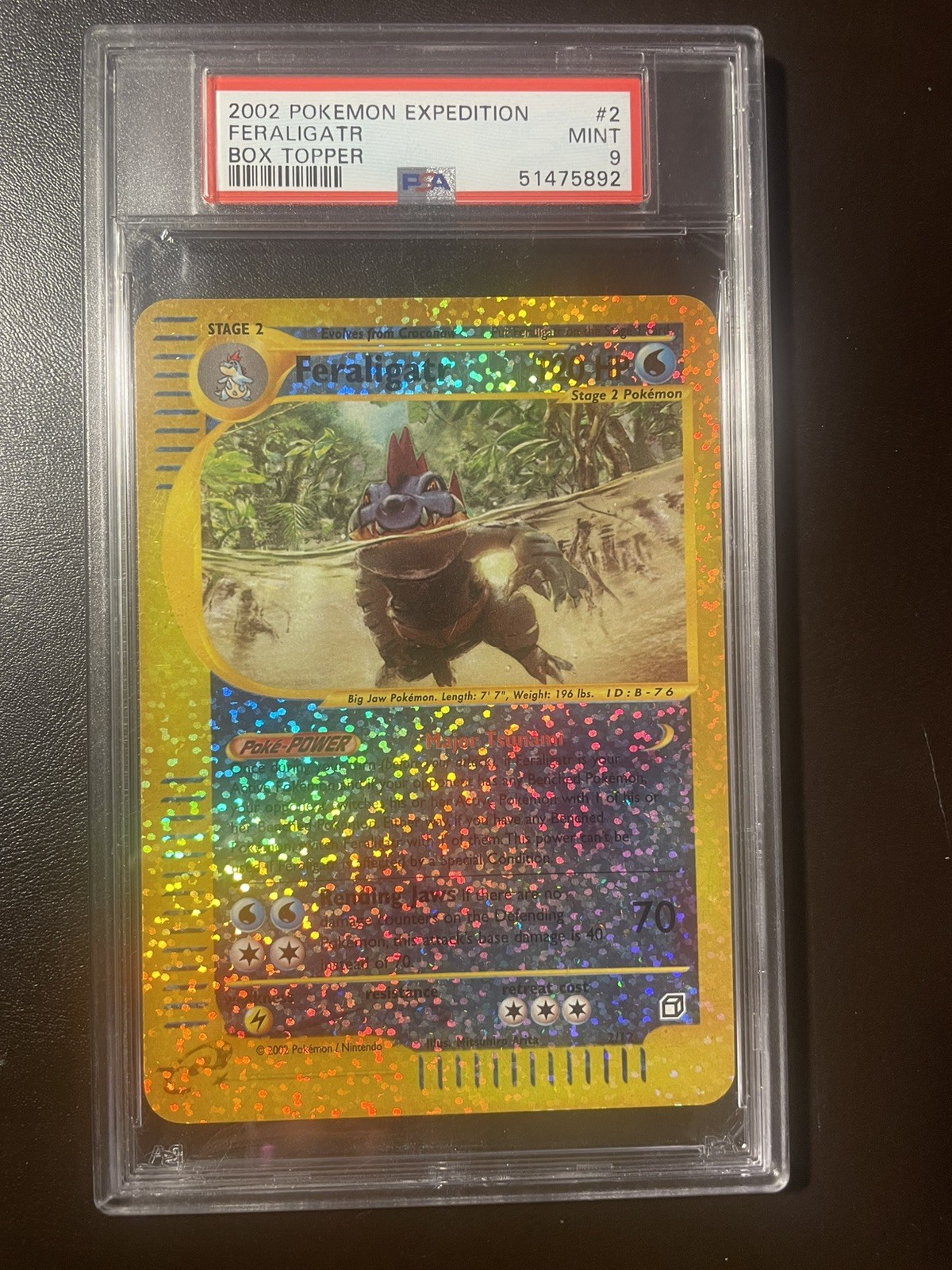 2002 Pokemon Expedition Box Topper Feraligatr 2