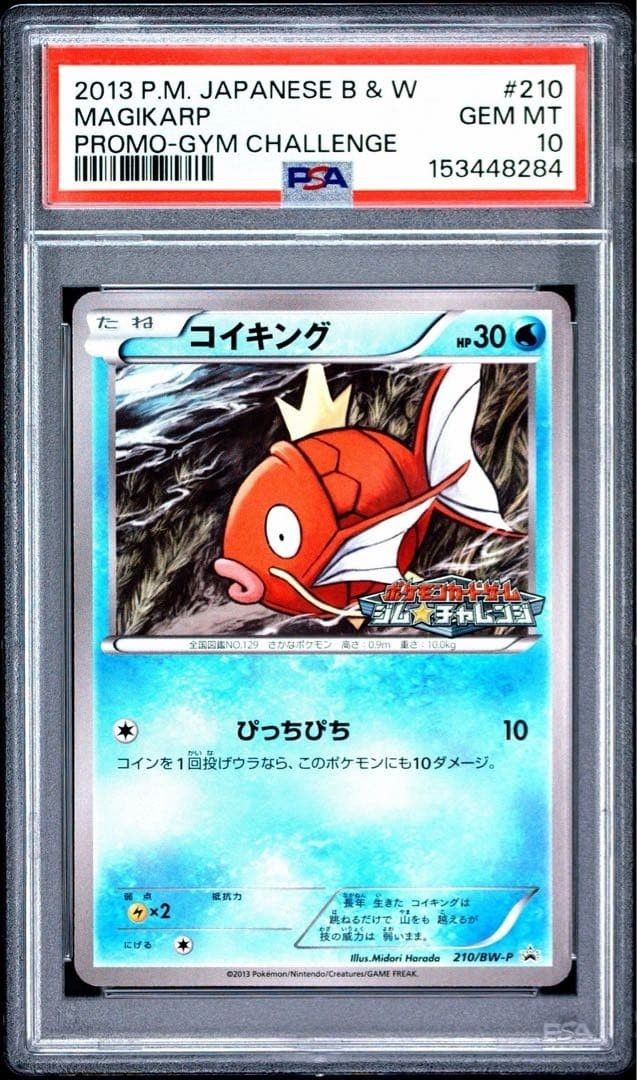 2013 Pokemon Japanese Black & White Promo Magikarp Gym Challenge 210