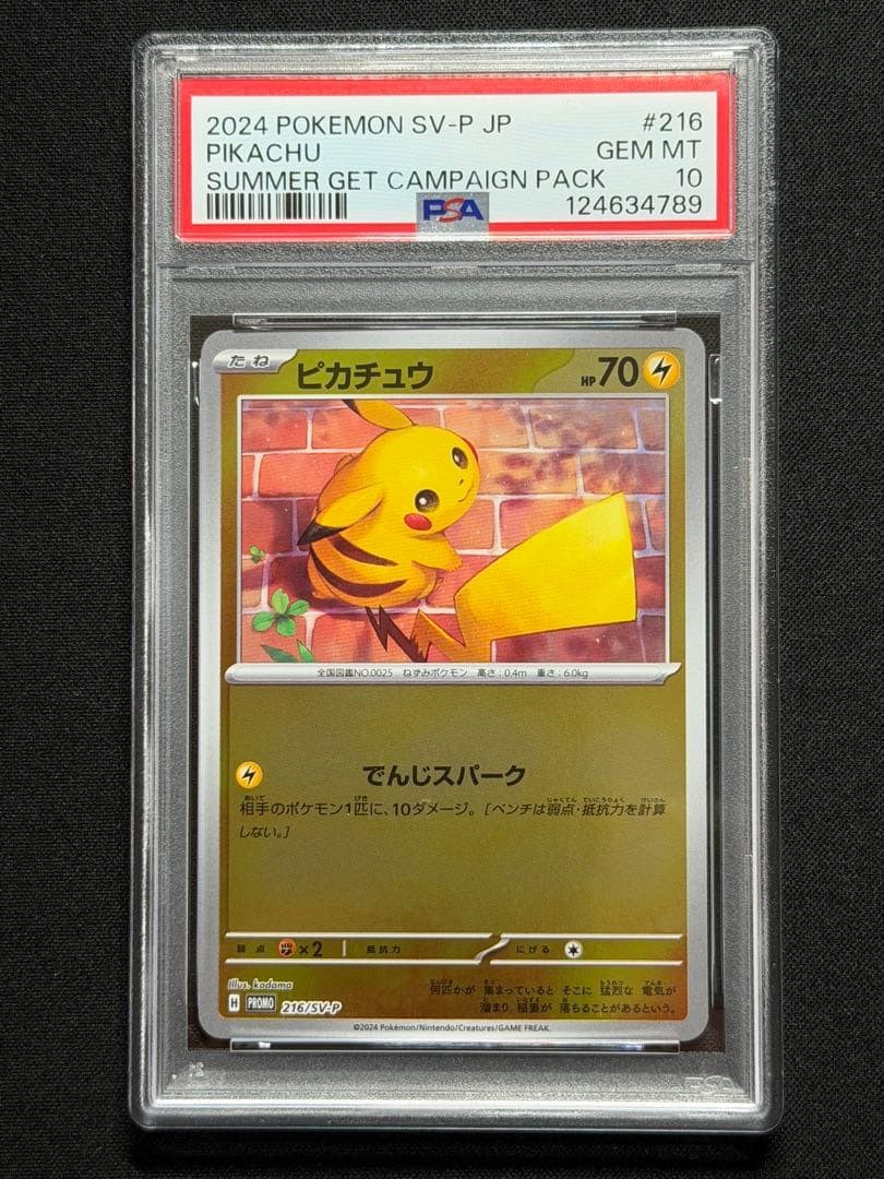 2024 Pokemon Japanese SV-P Promo Pikachu Summer of Pokeca Is Here! Promo Card Get Campaign Pack 216