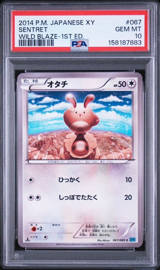 2014 Pokemon Japanese XY Wild Blaze Sentret 1st Edition 067