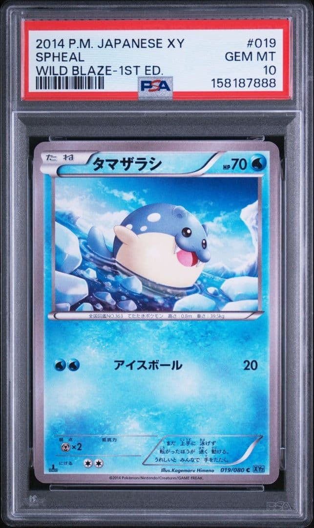 2014 Pokemon Japanese XY Wild Blaze Spheal 1st Edition 019