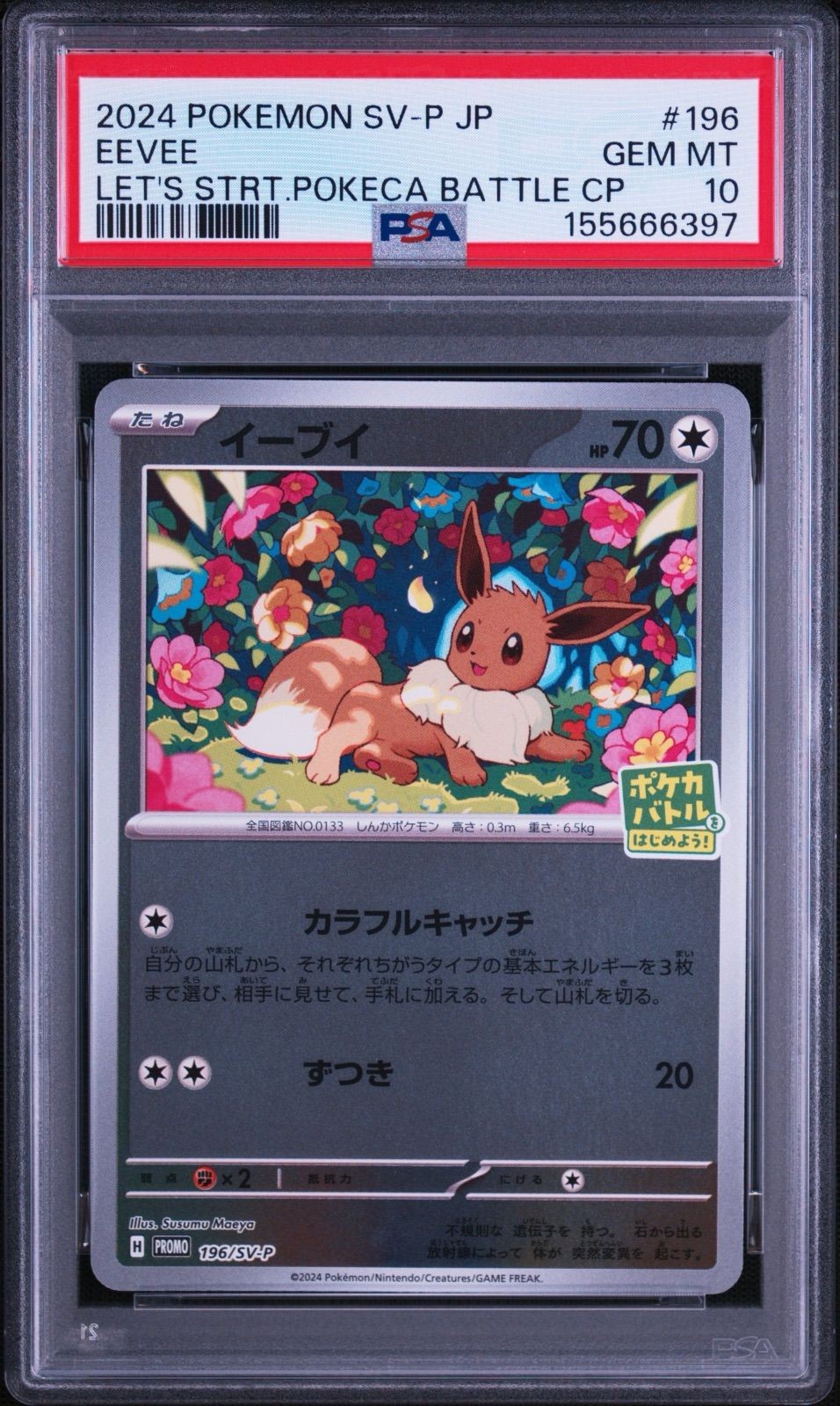 2024 Pokemon Japanese SV-P Promo Eevee Let's Start Pokeca Battle Campaign 196