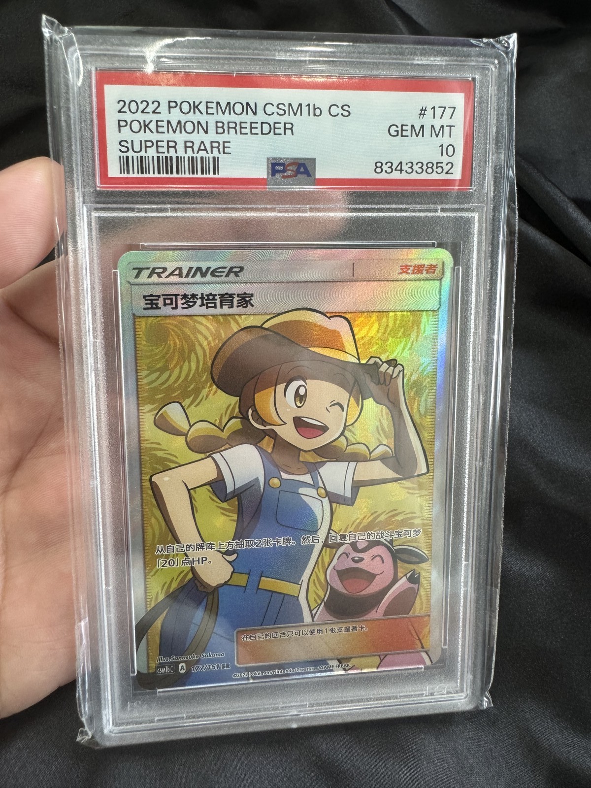 2022 Pokemon Simplified Chinese Csm1b C-Storming Emergence: Verdant Pokemon Breeder Super Rare 177