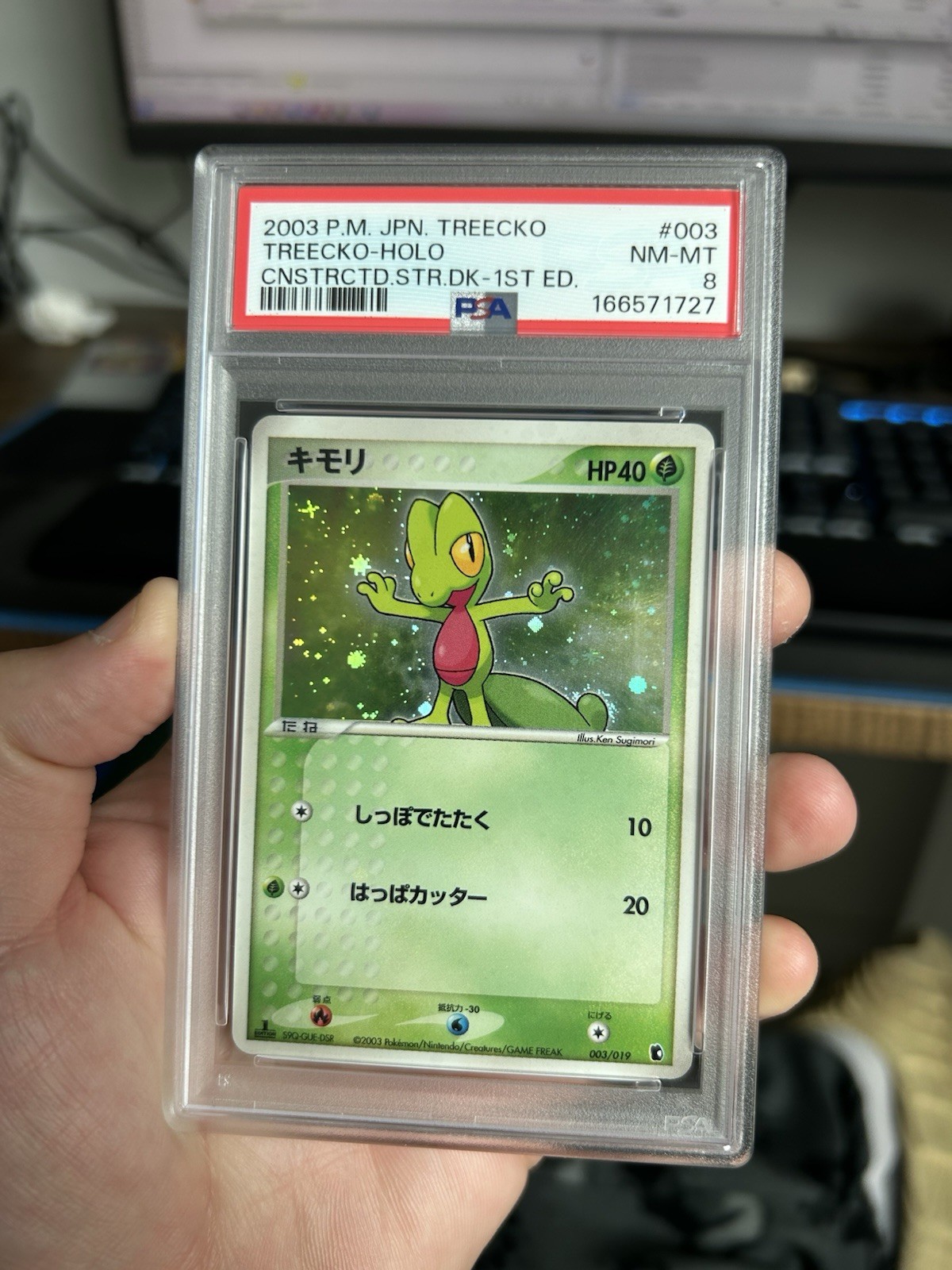 2003 Pokemon Japanese Treecko Constructed Starter Deck Treecko-Holo 1st Edition 003