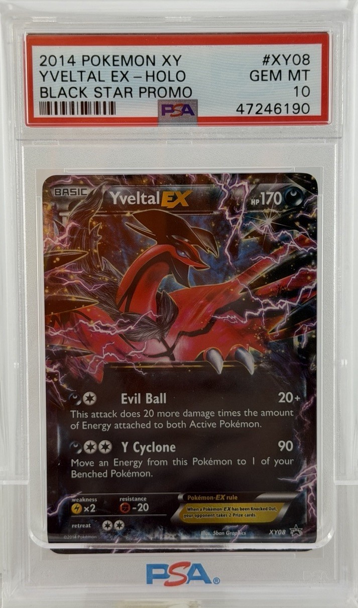 2014 Pokemon XY Black Star Promo Yveltal EX XY08
