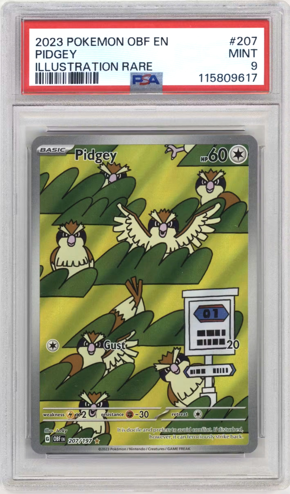2023 Pokemon Obf EN-Obsidian Flames Pidgey Illustration Rare 207